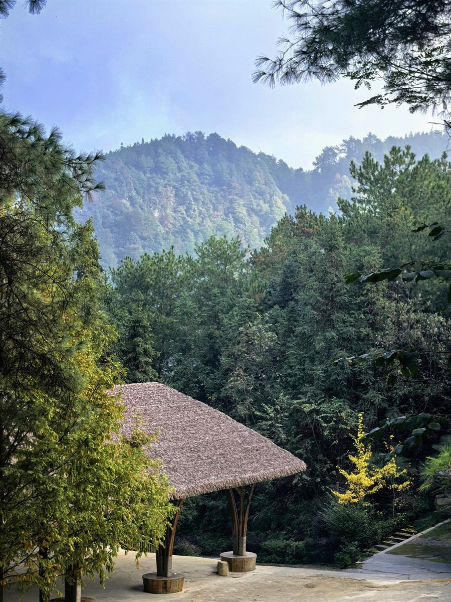 松风静院环境照片 1